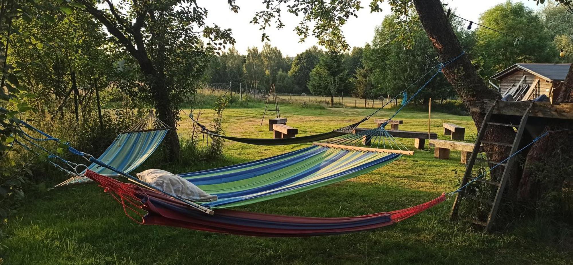 Dom Przyslupowy Educare -Agroturystyka Slow Food Świeradów-Zdrój エクステリア 写真
